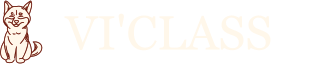 VI'CLASS