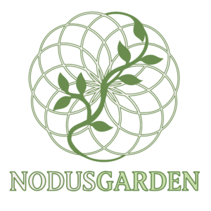 website icon
