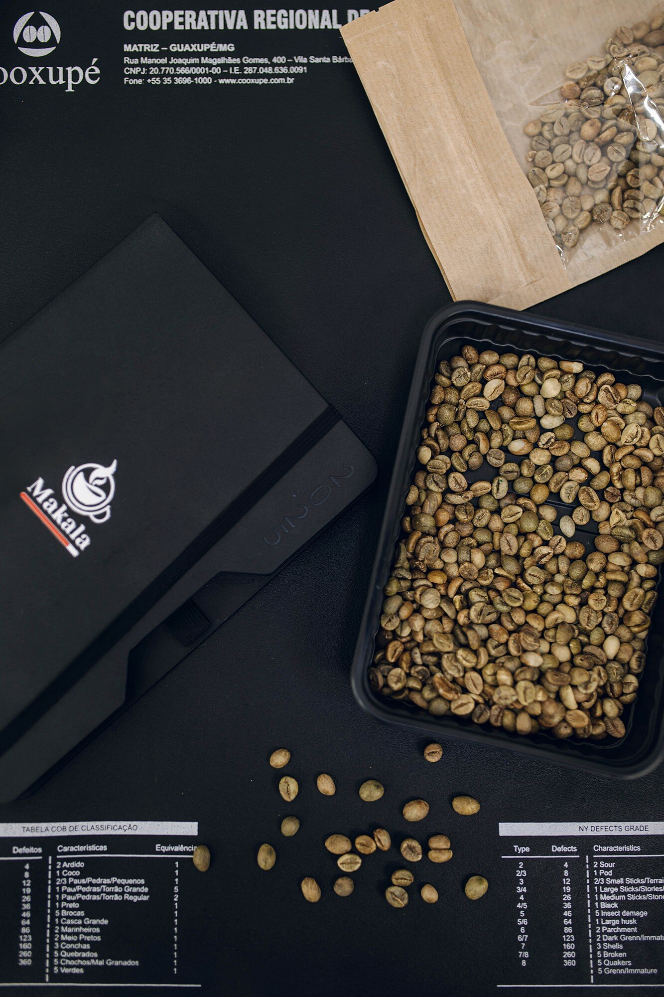 Арабика и робуста: сравнение зёрен кофе