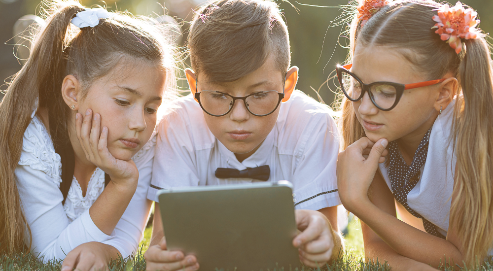 Что проверяют на экзаменах