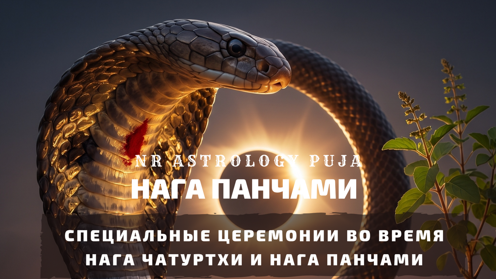 Пуджа Нагам