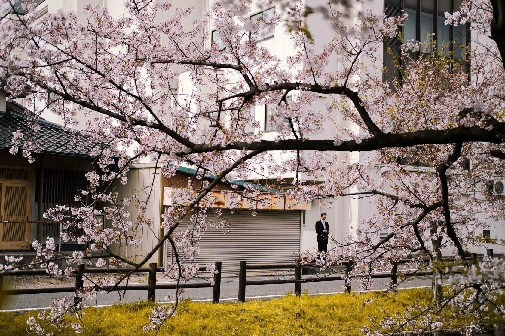 best time of year to visit japan, best time to visit japan, best time to visit japan weather, best time to visit japan reddit, best time to visit tokyo japan
