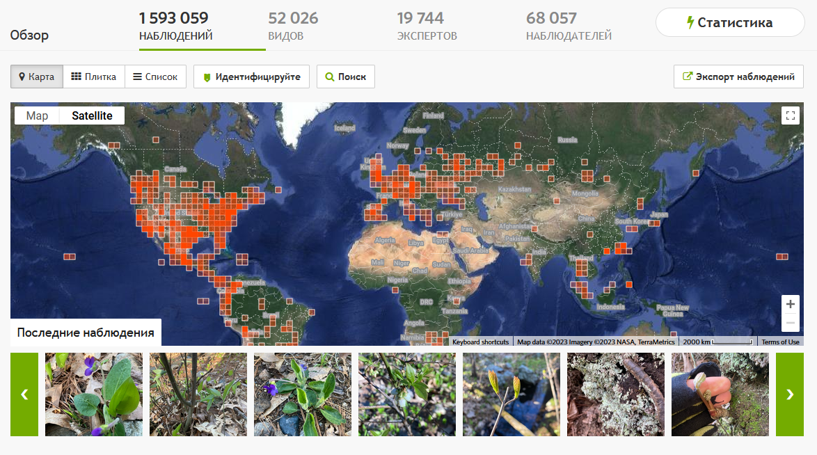 Обзор наблюдений City Nature Challenge 2022 на iNaturalist