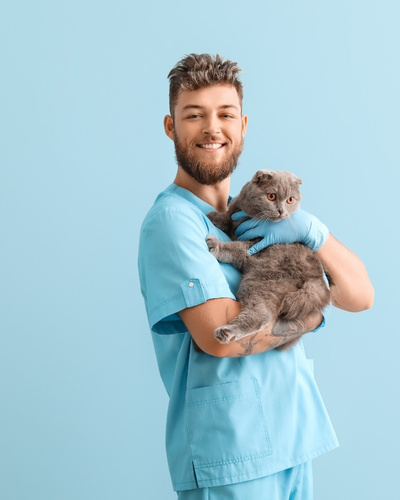 Ветеринар на дом в СПб, лечение собак и кошек | VETSPB