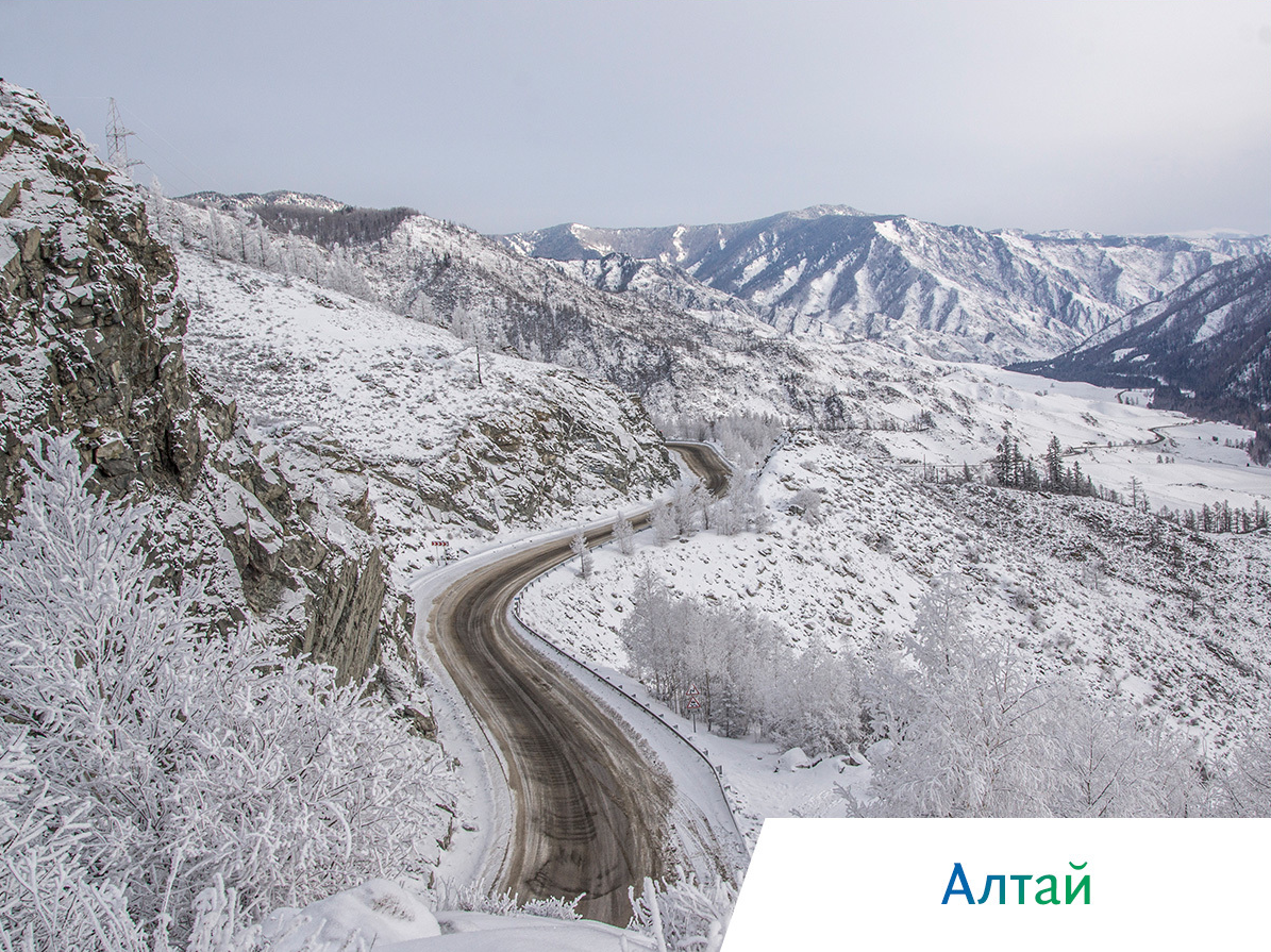 киты в охотском море