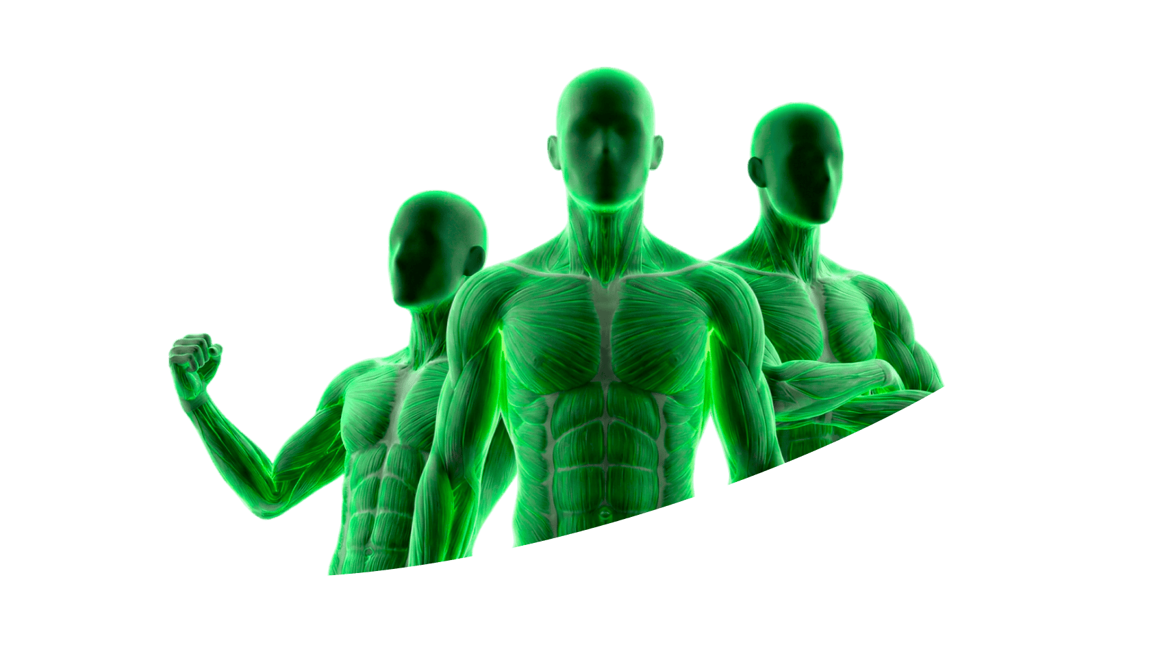 найти работу тренером в Санкт-Петербург, работа тренером онлайн, работа персональным тренером СПб