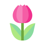  Тюльпаны оптом в Перми 