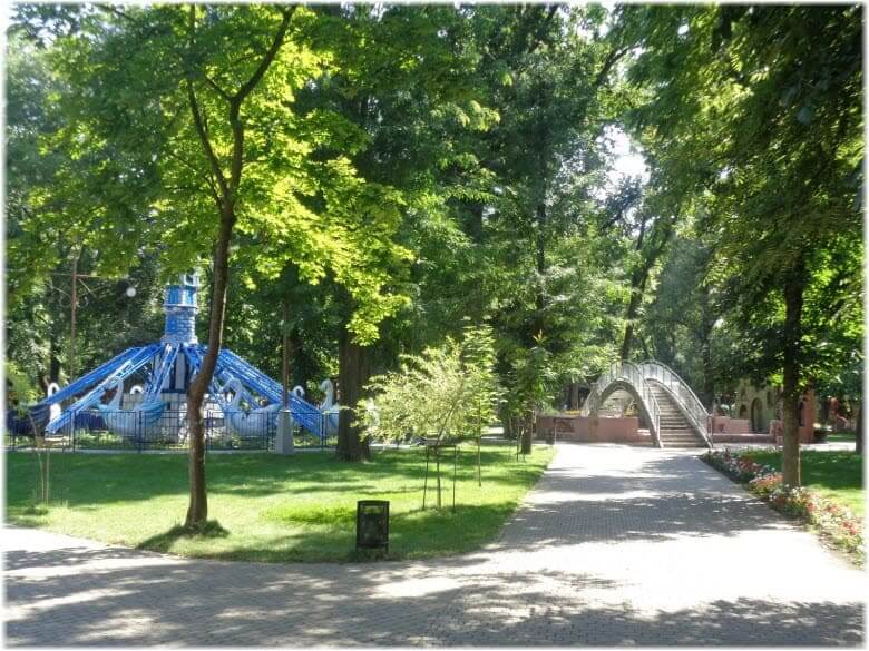 Роща в краснодаре фото