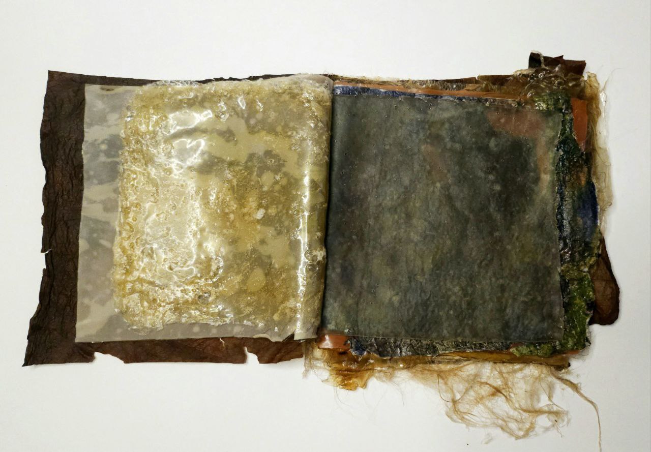 Diary
