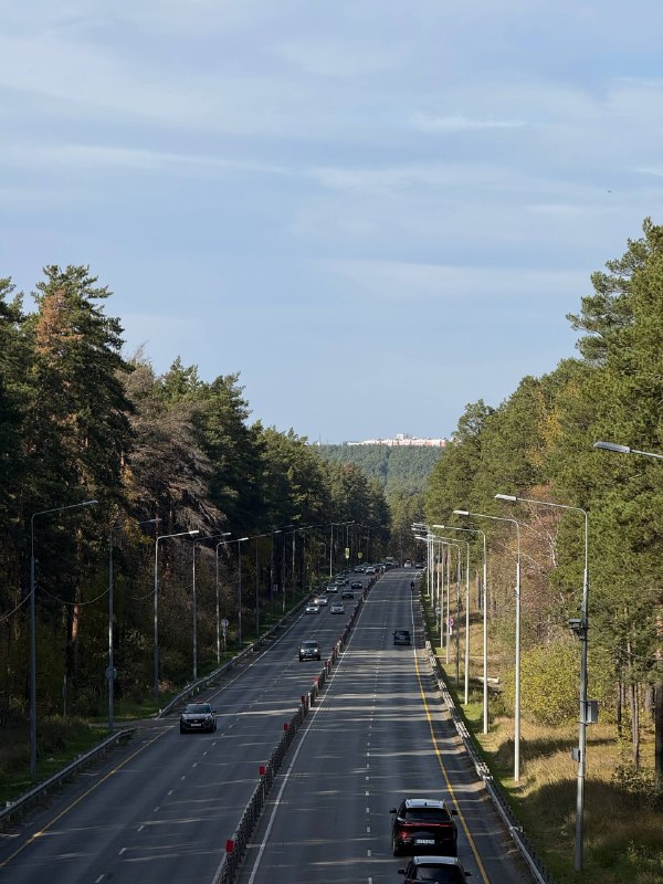 Дорога через ленточный бор в Барнауле
