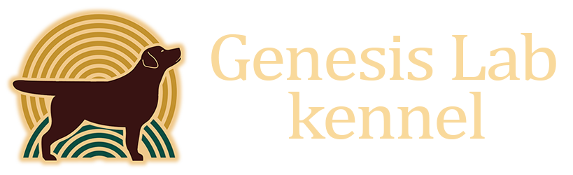 Genesis Lab logo