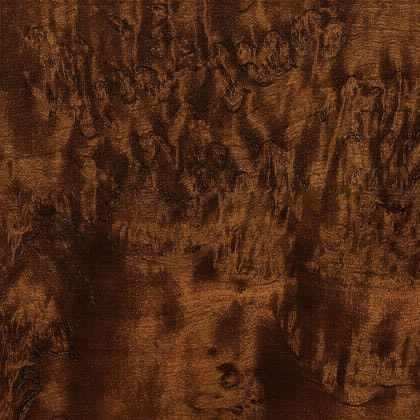 Шоколаднвя карельская береза