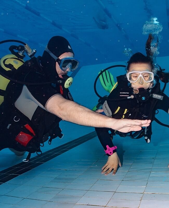 Open Dive Ru В Москве Магазин