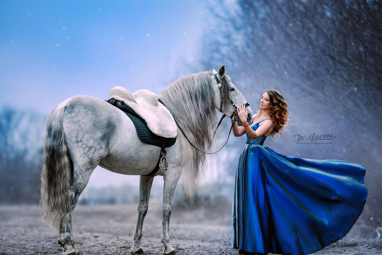 Лошадка 18. Принцесса на лошади Новогодняя фотосессия. Девочка с крутой лошадь. Невероятные лошади книга.