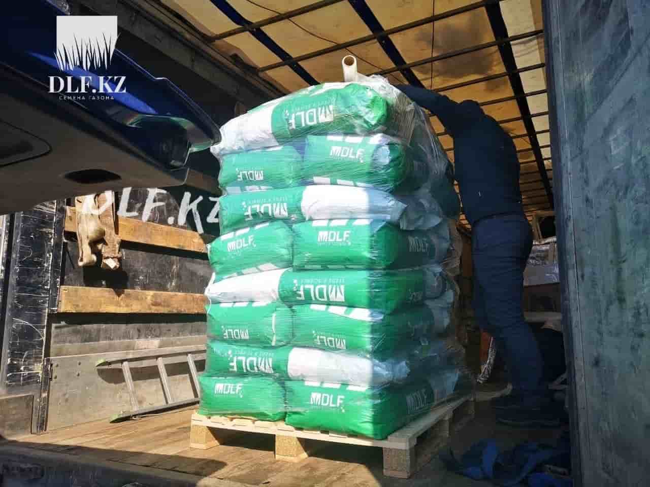 Grass seeds online. Best grass seeds DLF in Kazakhstan!