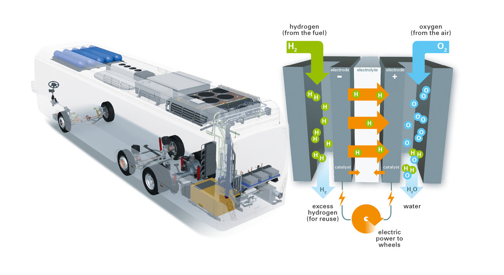 Fuel Cell car