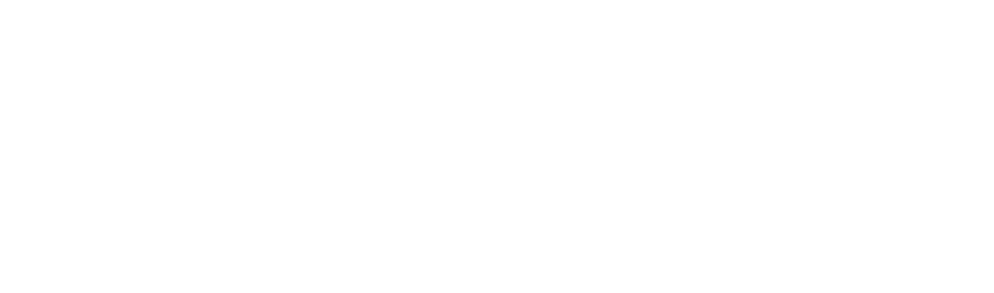  ЛАБОРАТОРИЯ ЭФФЕКТИВНОСТИ Дмитрия Литвиненко 