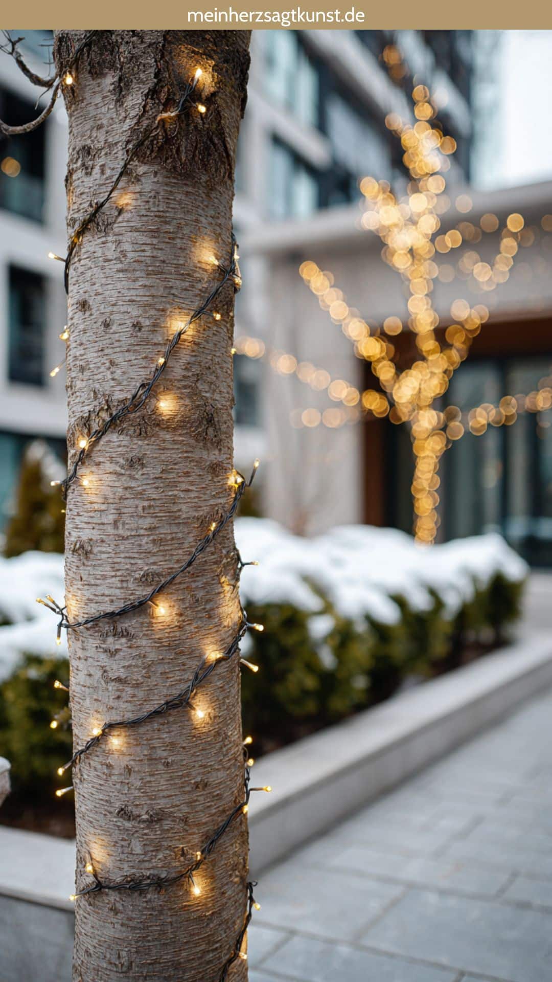 Гирлянда, ствол дерева, время Адвента