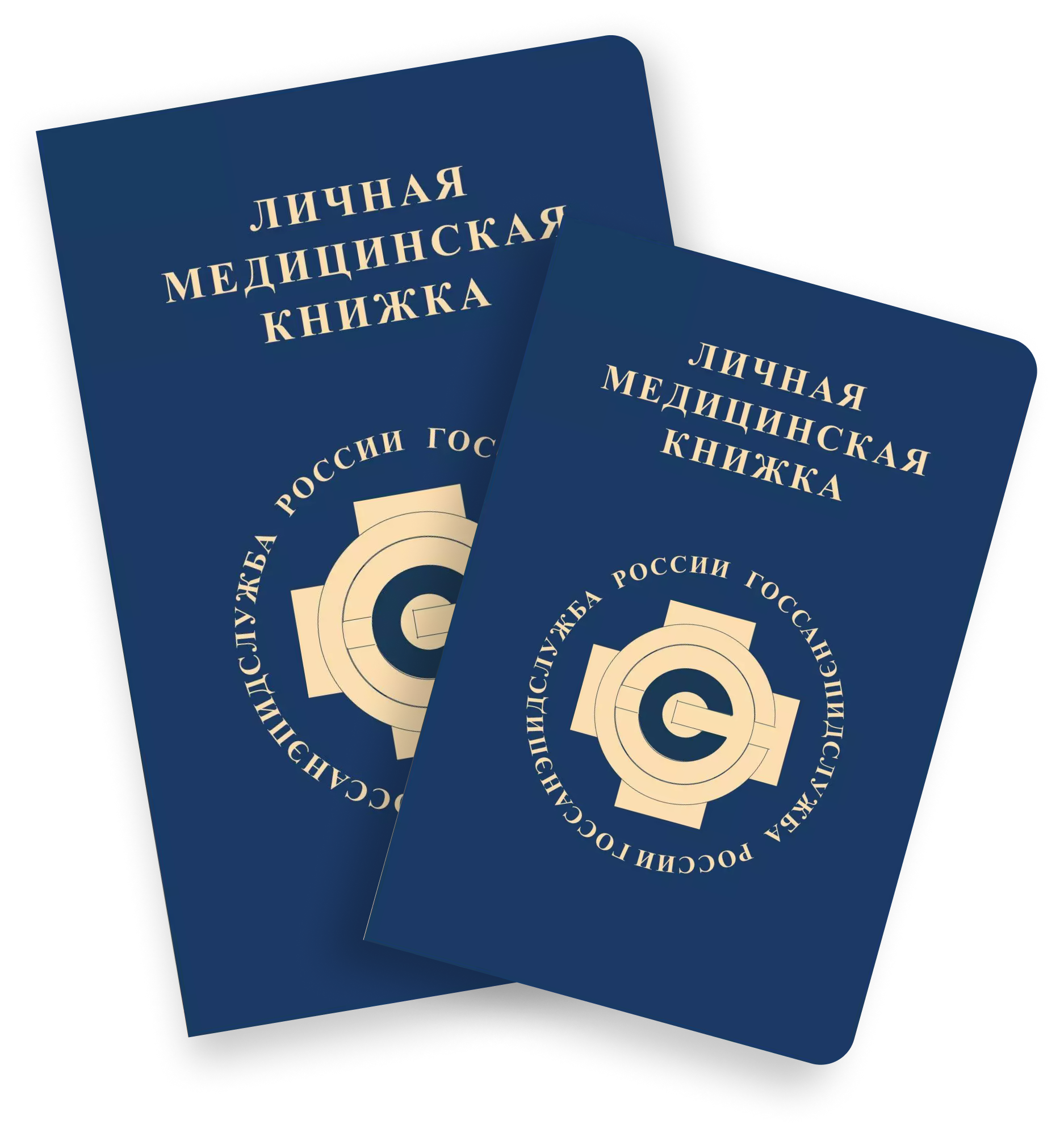 Медицинская книжка в москве официально купить