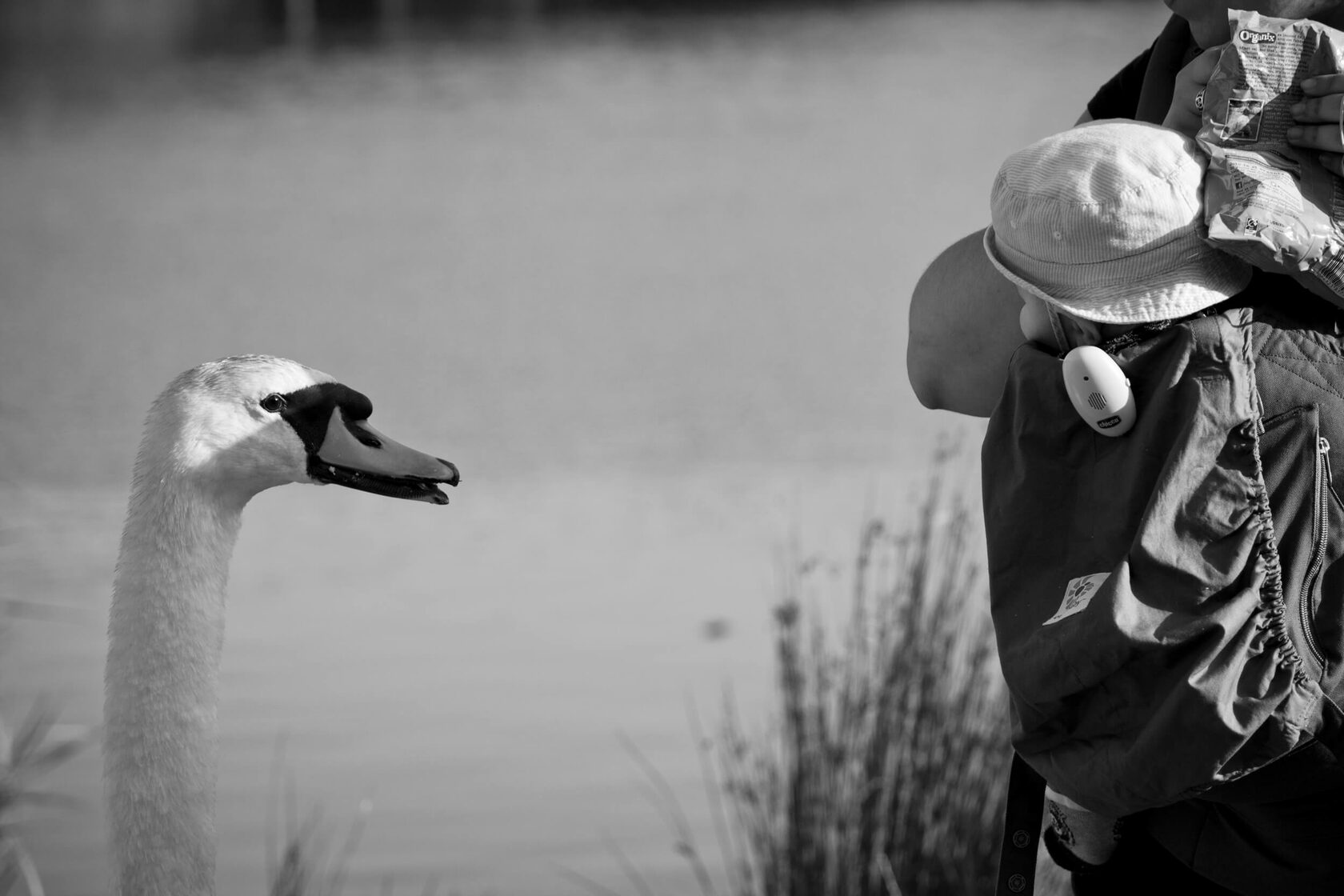 street, photography, black and white, city, people