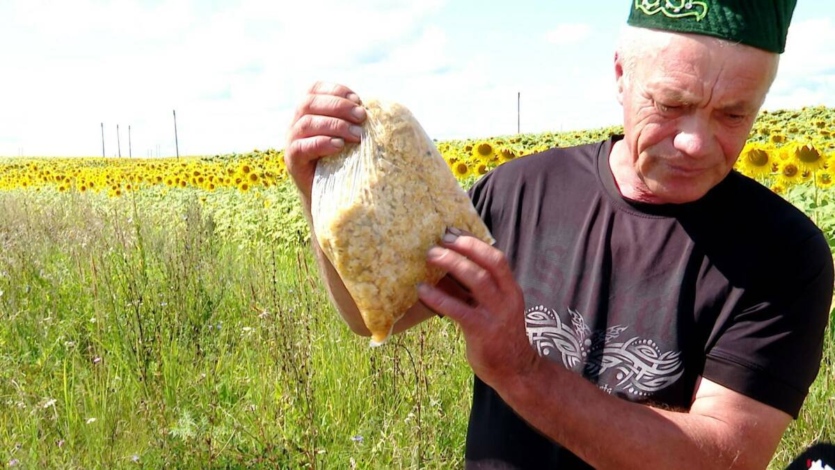 Целительное производство: пчеловод из Татарстана делает мази для бойцов СВО