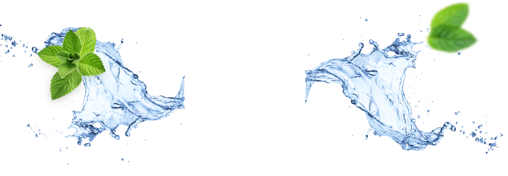Превратить картинку в пнг. Брызги воды листья. Вода без фона. Чистая вода без фона. Вода брызги мята.