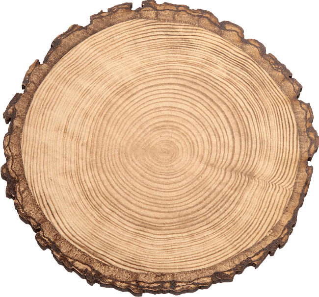 Пиломатериалы из сосны