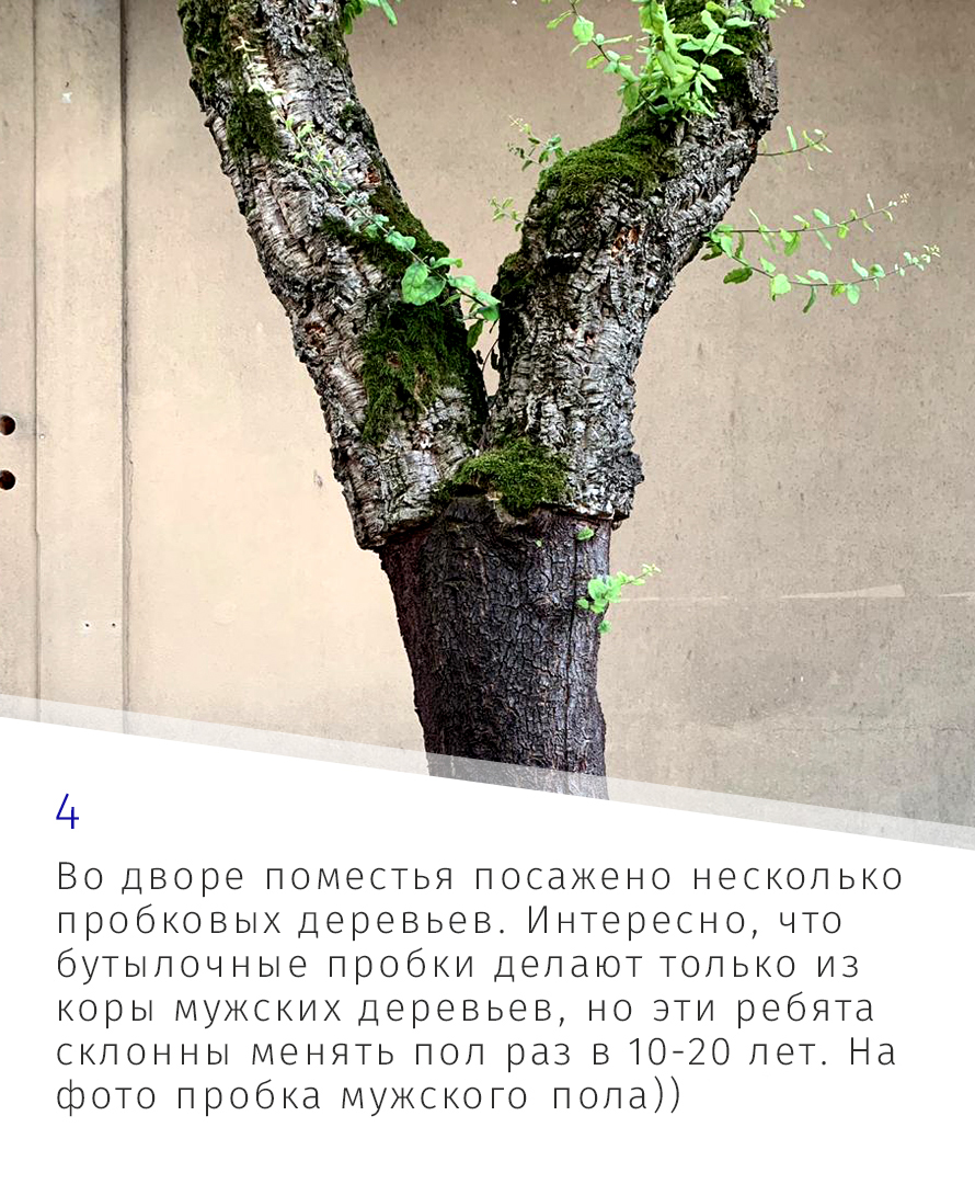 Винодельческое хозяйство Italo Cescon (Итало Ческон) — поэзия в бутылках...