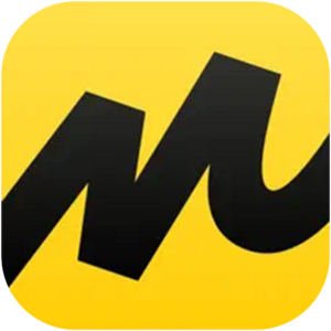 website icon