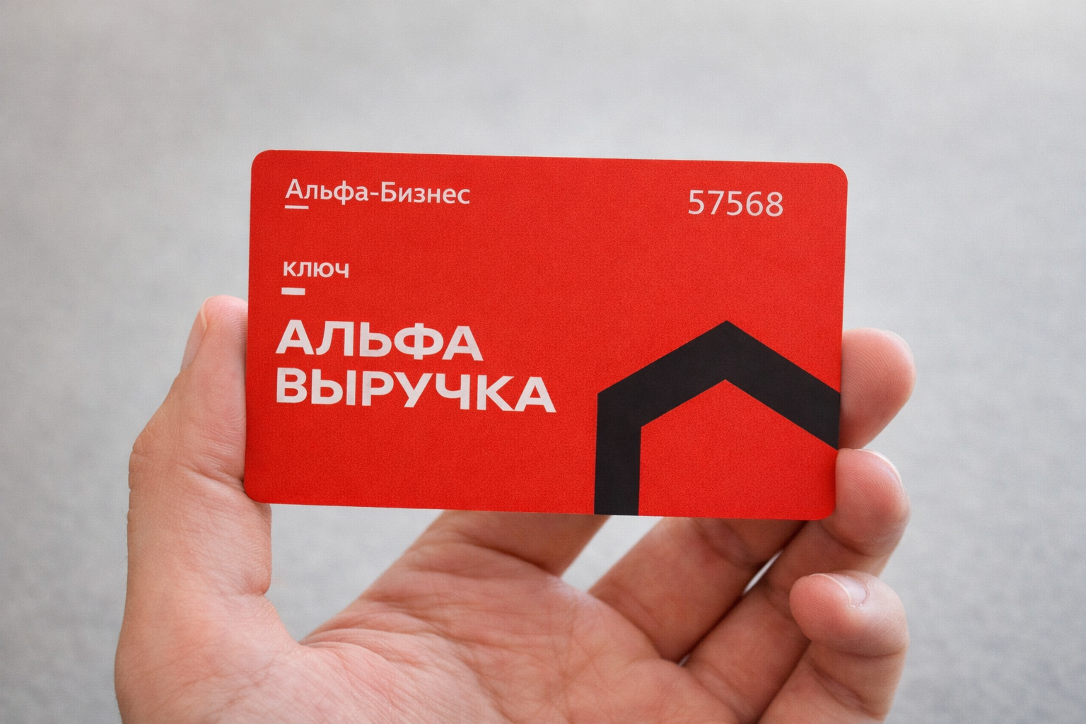 На изображении показана красная пластиковая карта с текстом «Альфа-Бизнес», «ключ», «АЛЬФА ВЫРУЧКА». На карте также изображён чёрный домик.