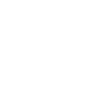 website icon