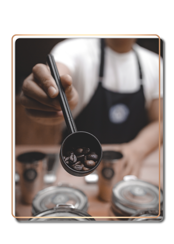 В компании, осуществляются все процессы создания и продвижения продукта: поиск, тестирование, каппинг, логистика и импорт кофейного зерна, производство и продвижение собственной торговой марки, создание оригинальных кофейных купажей, тщательный контроль качества на каждом этапе производства