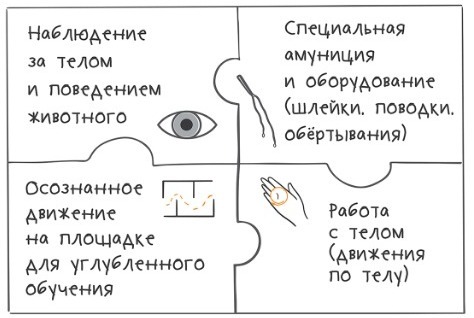 Официальный сайт ТиТач на русском языке - TTouch Rus