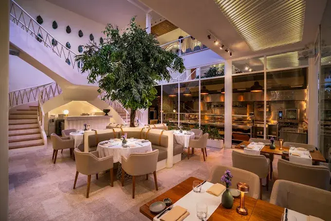 Grand interior of MAURI fine dining restaurant on Jalan Petitenget, Seminyak, with a large, centerpiece tree under a skylight and curved staircase, a top choice for special occasions and handmade pasta.