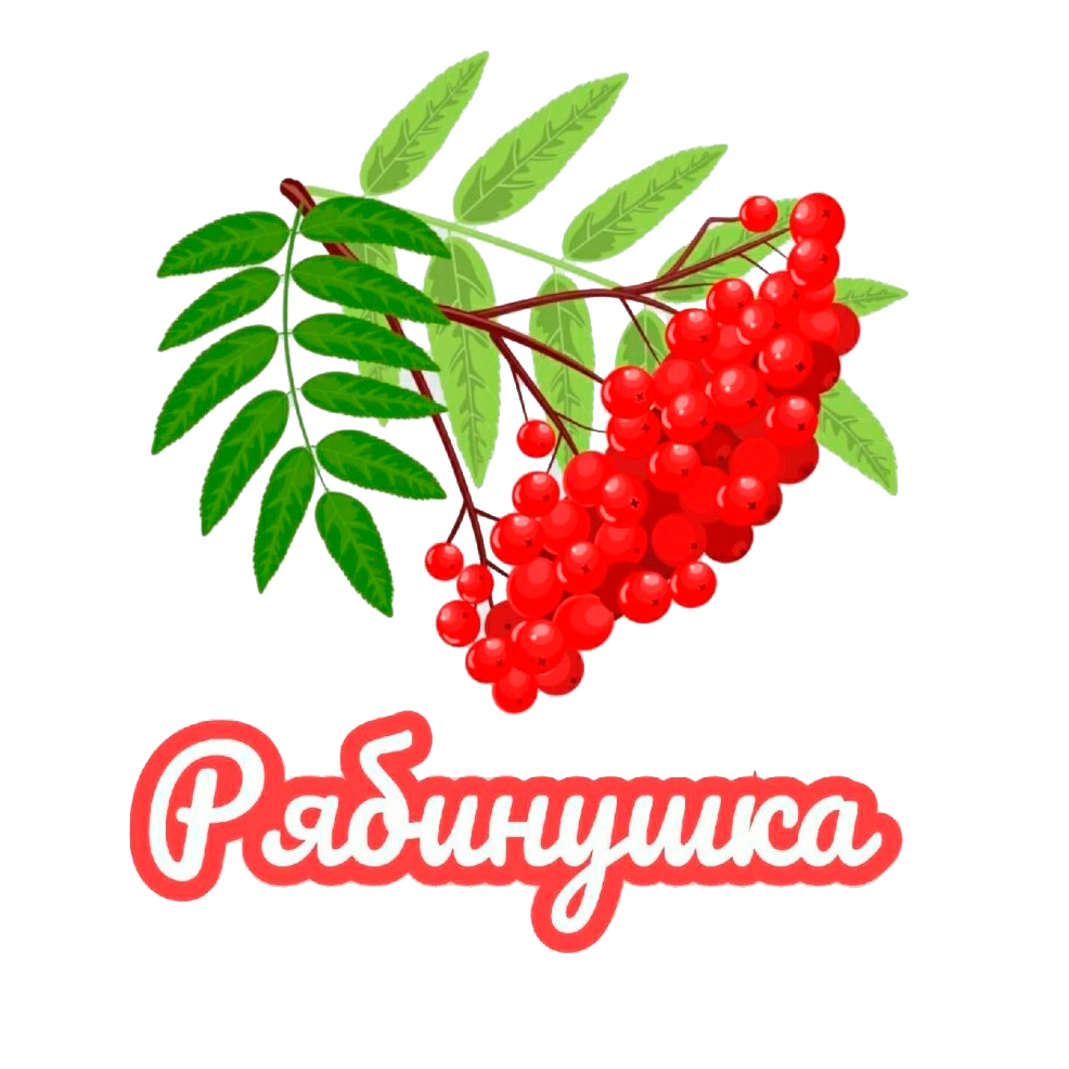 ТСН СНТ РЯБИНУШКА