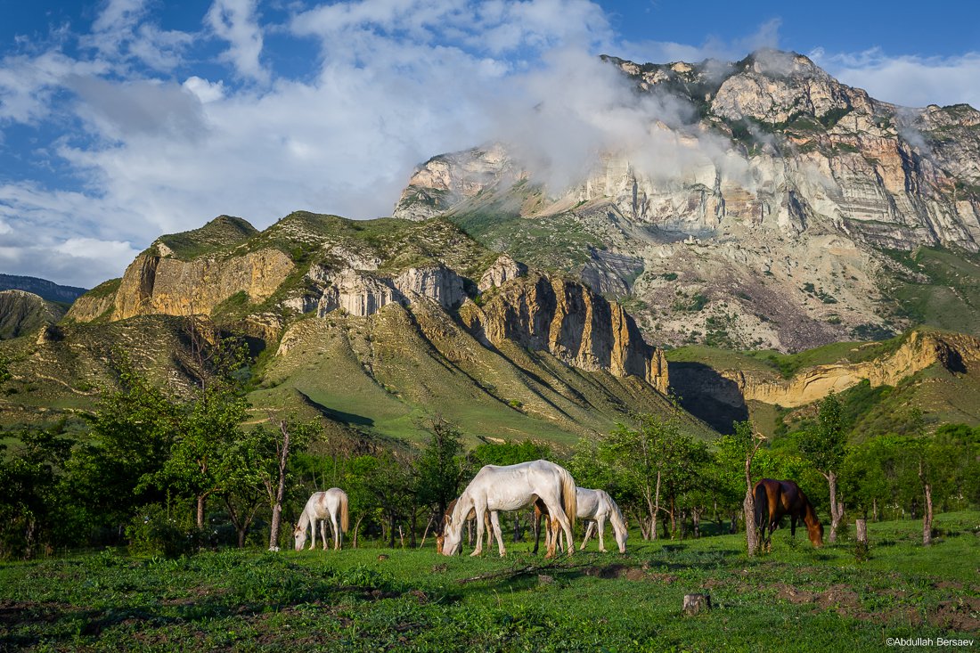 Дагестан фото природа