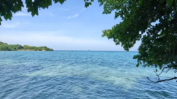 Мелкая вода и заросший берег острова