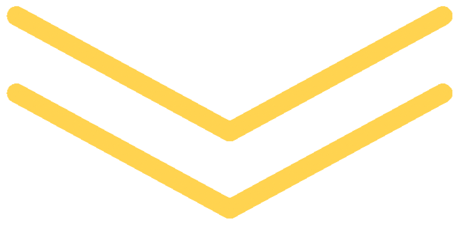 Академия груминга milord