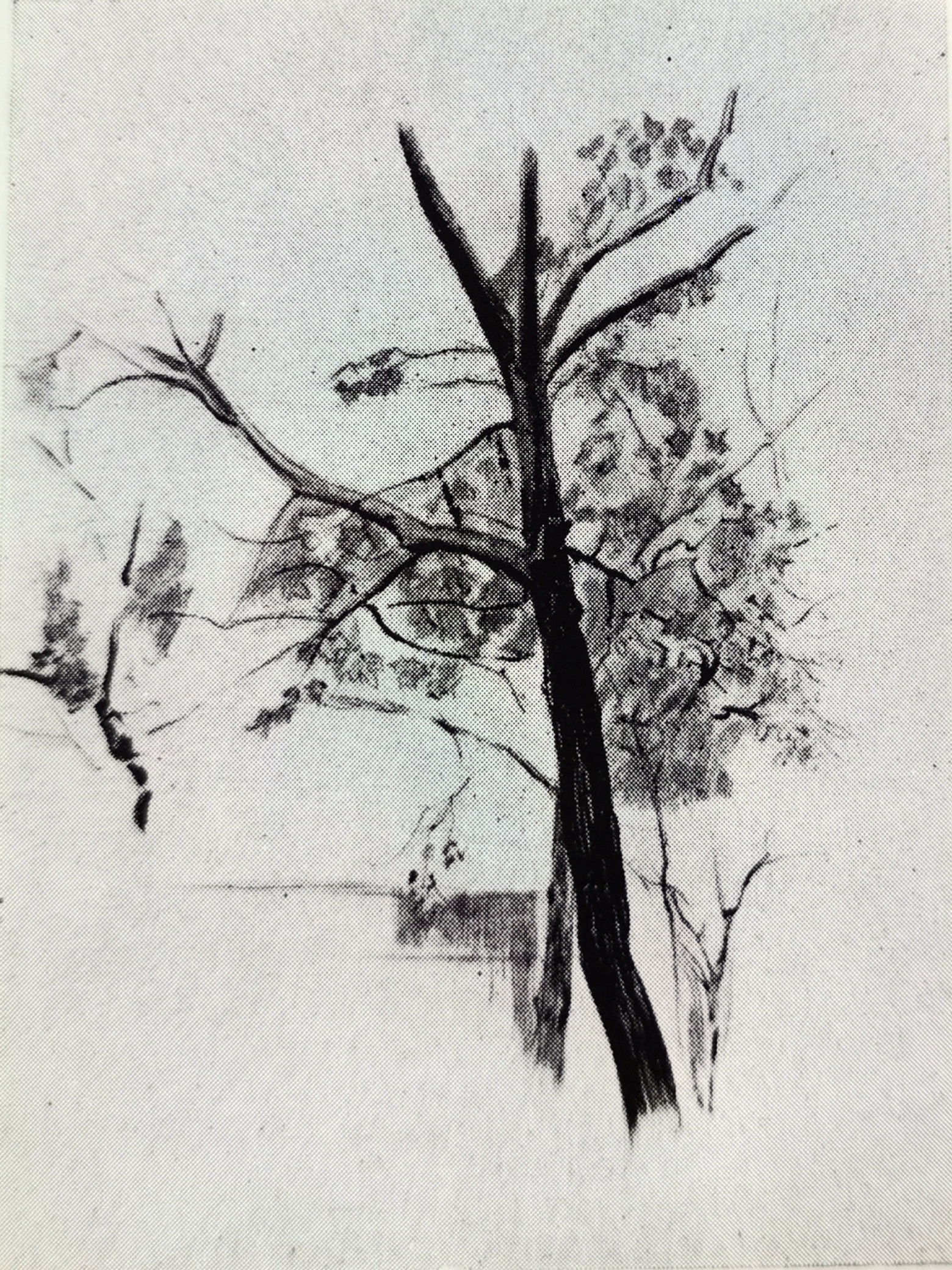 Дерево, 1925 г.