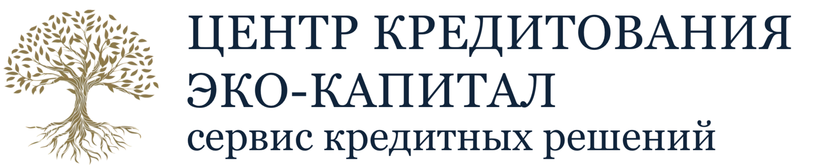  ЦЕНТР КРЕДИТОВАНИЯ ЭКО-КАПИТАЛ сервис кредитных решений 