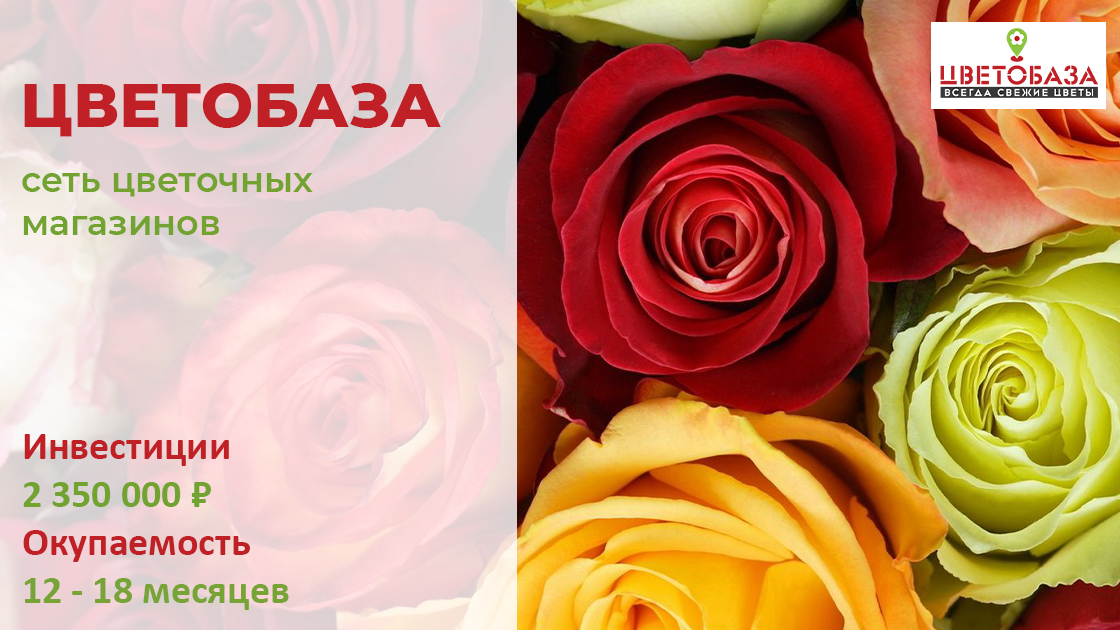 Доставка цветов на дом цветобаза. Инвестиции цветок. Цветобаза 38 Иркутск сайт.