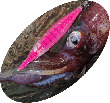 увлекательное приключение под ночным звёздным небом