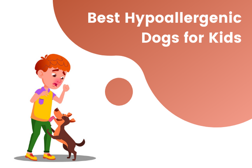 Best Hypoallergenic Dogs for Kids
