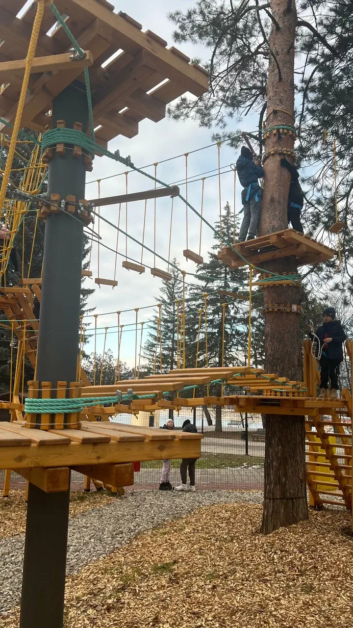 Трассы на деревьях и опорах
