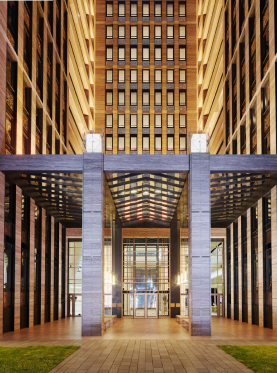 новостройки петербург