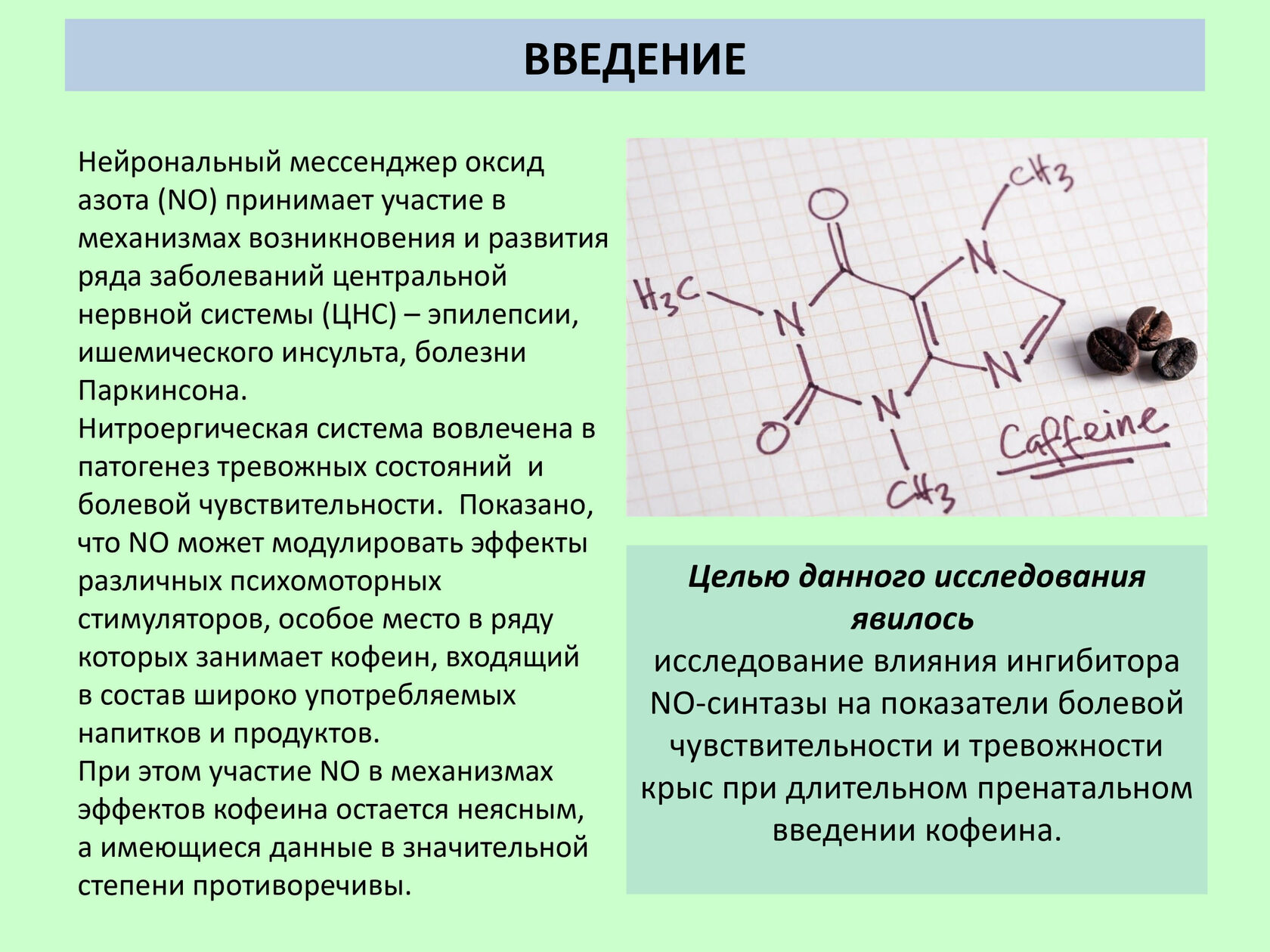 Реферат 2023