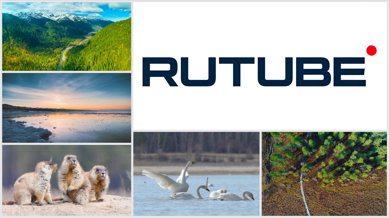 Видео Байкальского заповедника