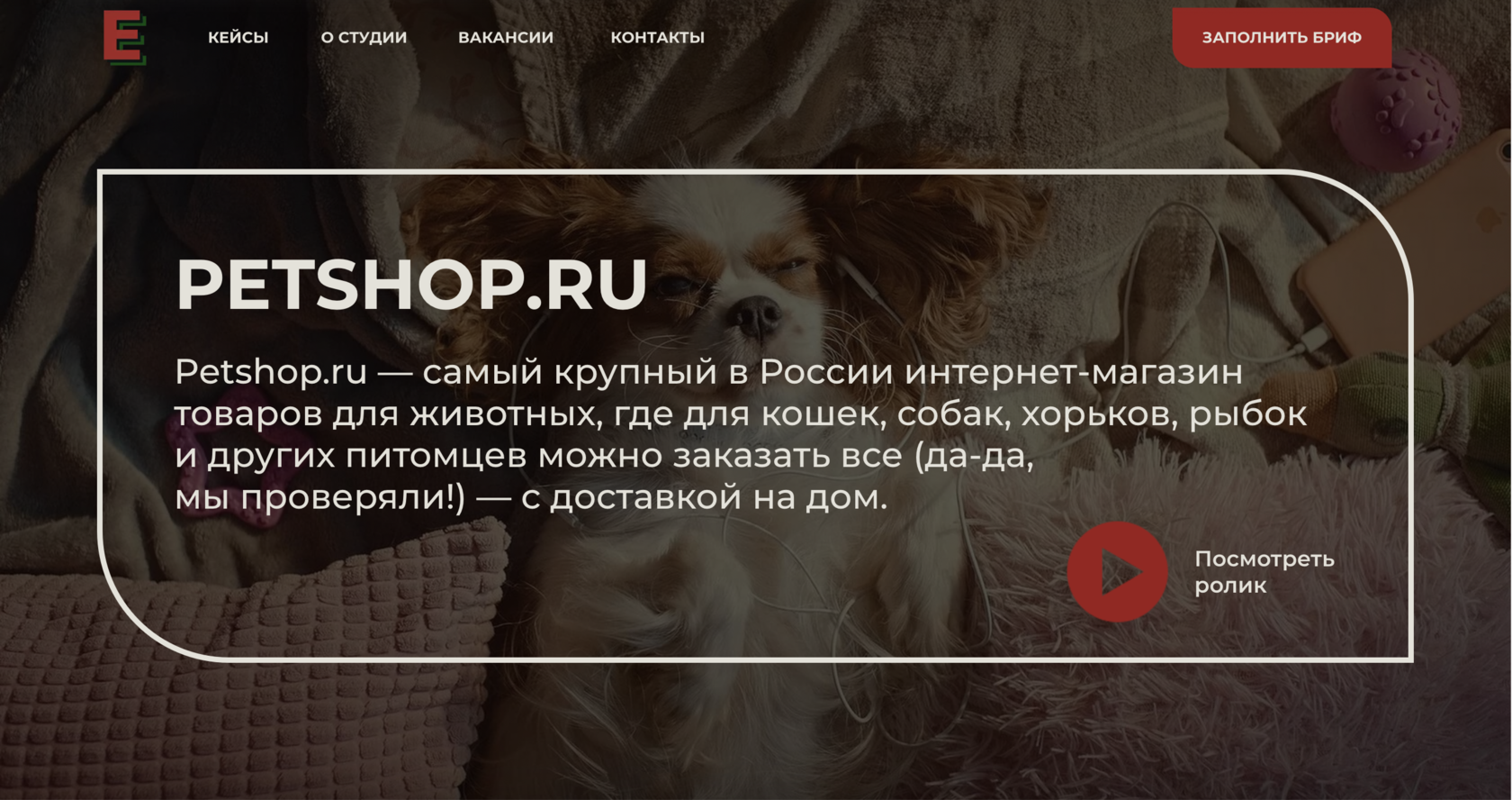 Кейс Petshop.ru