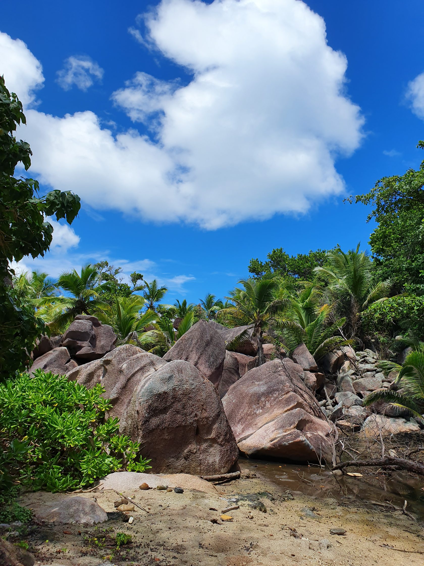 отель лемурия праслин. Berjaya beau vallon bay 4 сейшелы сейшелы. Doubletree by hilton seychelles allamanda resort & spa 4* сейшелы. констанс лемурия сейшелы. Anse royale сейшелы.