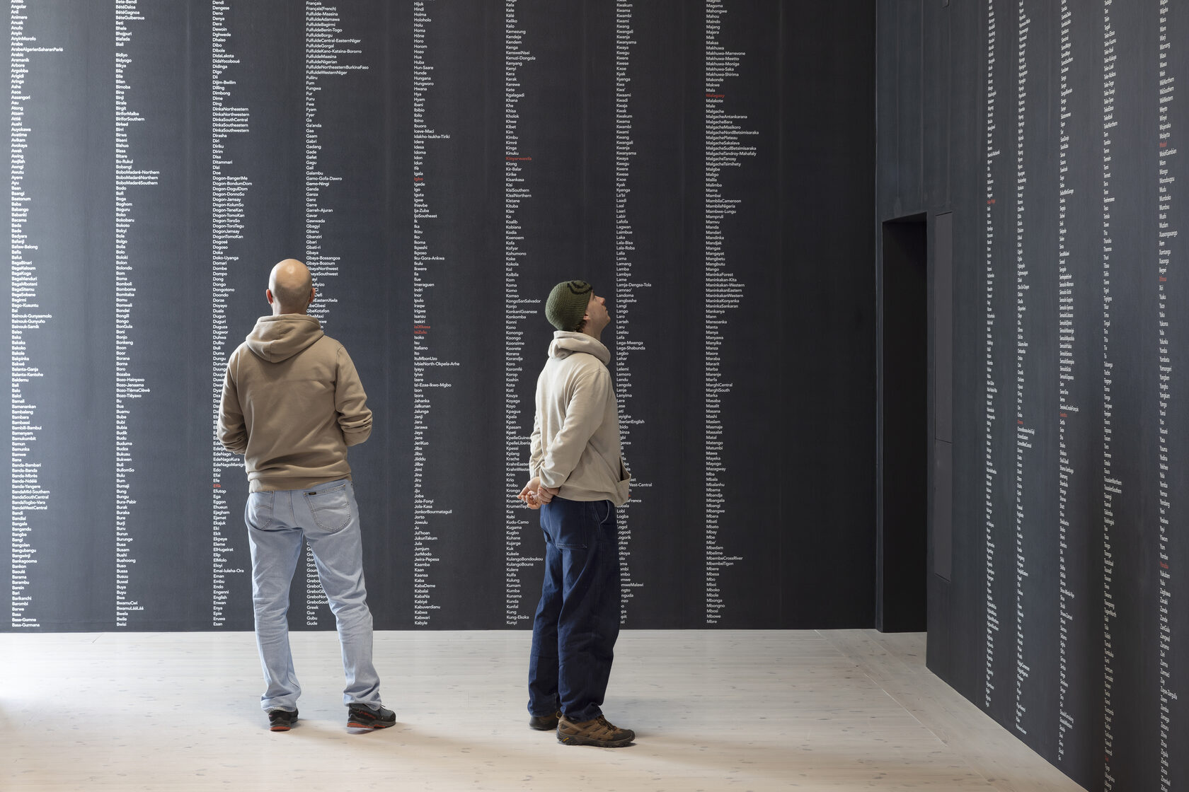 Installation view showing thousands of african languages absent from LLM training data.